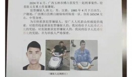 玉林记者爆料最新消息,重大事件引发社会关注！