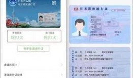 最新通行证爆料消息查询,揭秘未来出行新趋势与政策动向