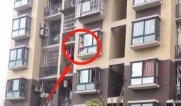 家园小区爆料视频最新版