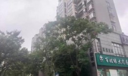 家园小区爆料视频最新版