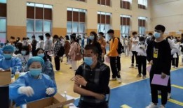 襄阳建桥最新爆料消息视频,震撼视频曝光，工程进展一览无余