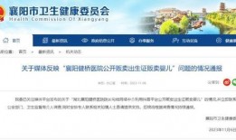 襄阳新闻大爆料最新,揭秘本地热点事件背后的真相！