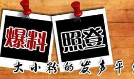 最新的爆料新闻,最新爆料新闻背后的惊人真相
