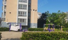 中江国际爆料最新消息,揭秘行业黑幕，真相令人震惊！