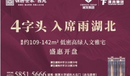 湘潭地产爆料最新消息今天,揭秘今日热点项目与市场走向