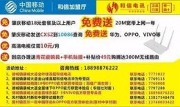 德庆县爆料新闻最新情况,突发事件引发社会关注