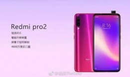 红米最新款手机爆料,性能升级，设计革新，引领潮流新篇章