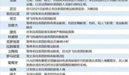 英国新冠病毒最新爆料,揭秘变异株传播与防疫挑战