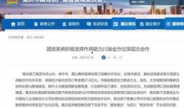 四川银行最新爆料,揭秘金融创新与风险防控新动态