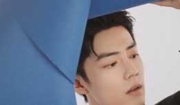 肖战微博八字爆料最新视频,最新视频背后的惊人真相