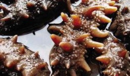 烟台海参爆料视频最新版,品质真相与行业乱象