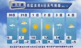 哈尔滨头条周日爆料最新消息,最新爆料揭示重大事件内幕