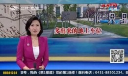 返厂最新爆料视频在哪看,视频曝光，带你一探究竟！