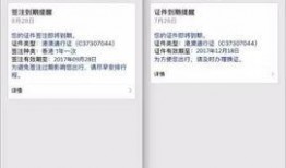 最新通行证爆料消息查询,揭秘未来出行新趋势与政策动向