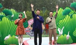 襄阳建桥最新爆料消息视频,震撼视频曝光，工程进展一览无余