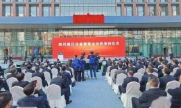 四川银行最新爆料,揭秘金融创新与风险防控新动态