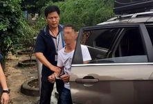 德庆县爆料新闻最新情况,突发事件引发社会关注