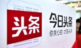 哈尔滨头条周日爆料最新消息,最新爆料揭示重大事件内幕