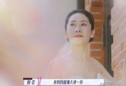 刘妈爆料故事大全最新,揭秘娱乐圈不为人知的幕后故事